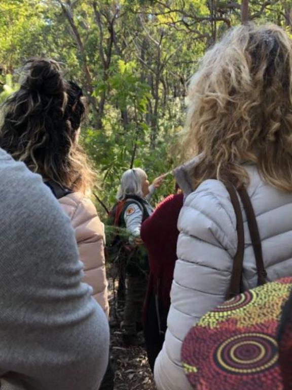 Dharawal Guided Indigenous Walk – Women's Walk to Minerva Pool