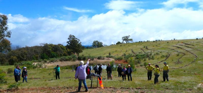 Healing Country on Guula Ngurra National Park