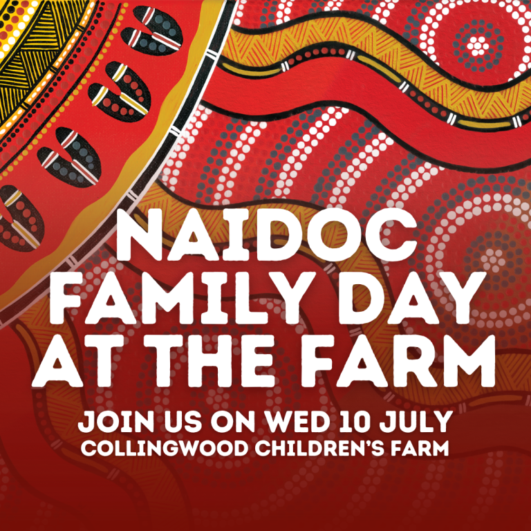 Event Photo: NAIDOC Family Day at the Farm