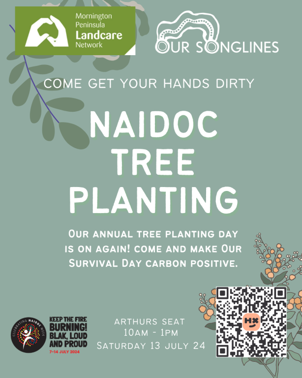 Event Photo: NAIDOC Tree Planting Day